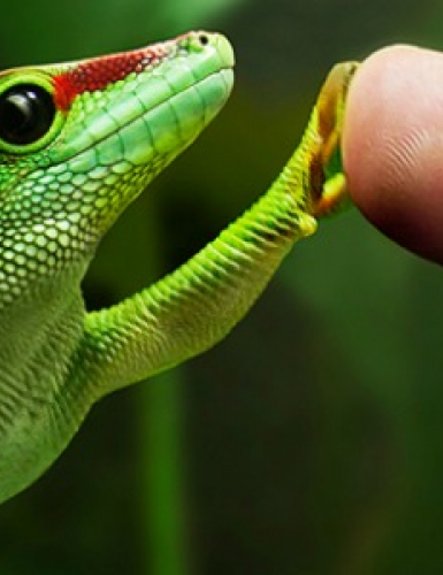 Bioinspiration and biointegration