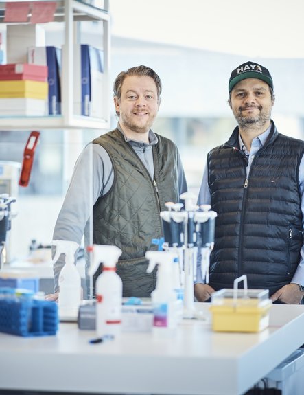 The cryptic messages of our genome