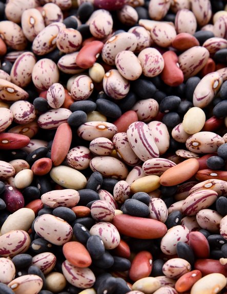Alternative protein sources