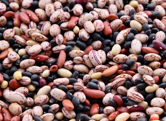 Alternative protein sources