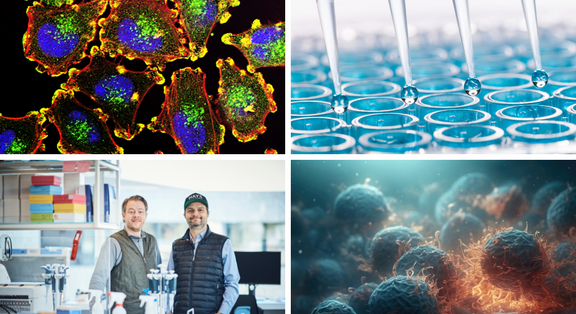 Mosaic image of fluorescent cells and the microscope, pipettes over a row of reaction tubes, two researchers in the lab and close-up of cells in a 3D image
