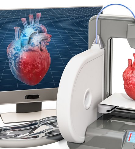 3D-Biodruck