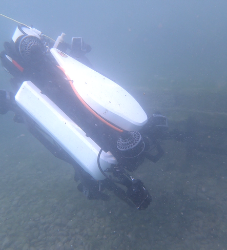 Underwater robots for shallow and dangerous waters